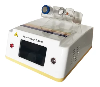 Ilu Masina laserravi Iv Klassi 60W 960Nm füsioteraapia Laser Veterinaar-Laser Ravi Instrumendid